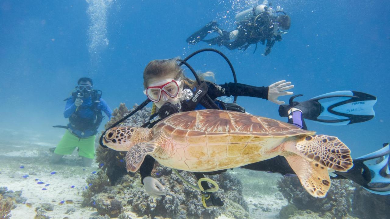Alaia Studios Panglao Eksteriør bilde