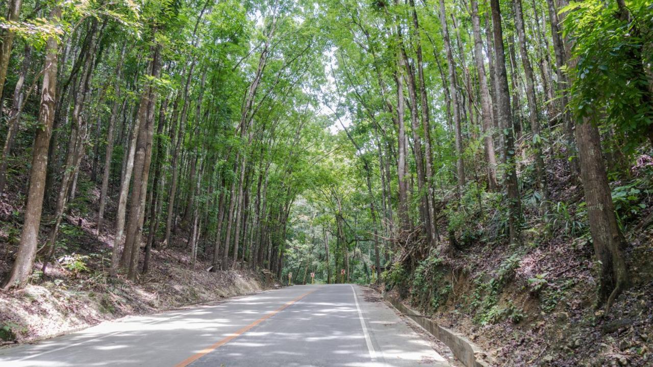 Alaia Studios Panglao Eksteriør bilde